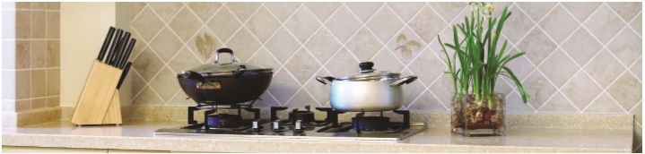 ELLANE Glass Cooker Hob WG-2SV