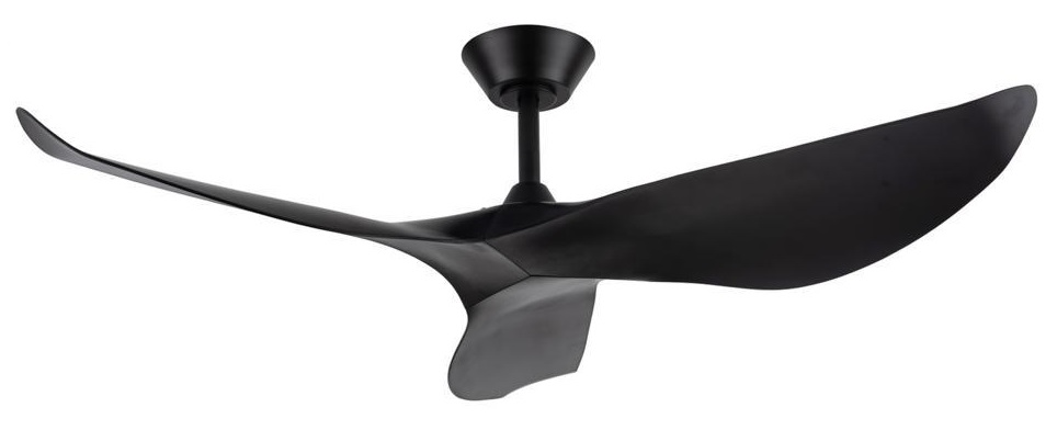 Fanco Huragan Black Color
