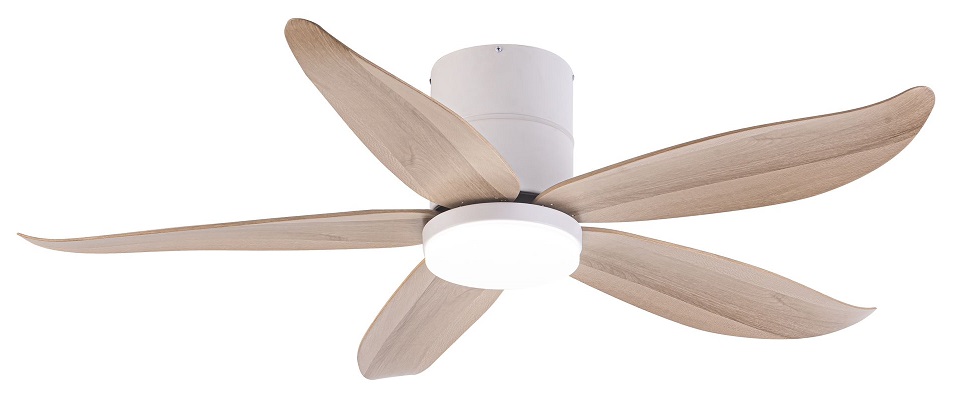 RITO 5 Matt White With Pine Color