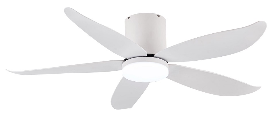 RITO 5 Matt White Color