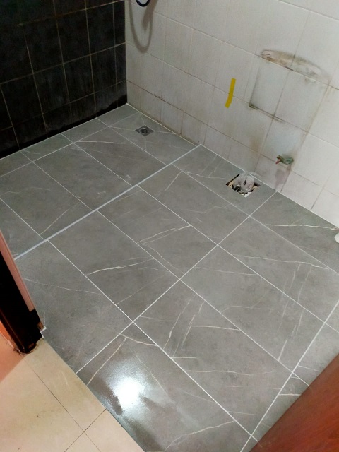 Overlay Toilet Tiles